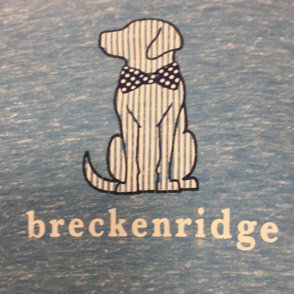 delta ringspun Other - Kids small blue Breckinridge short sleeve tshirt with cute dog pic on the front